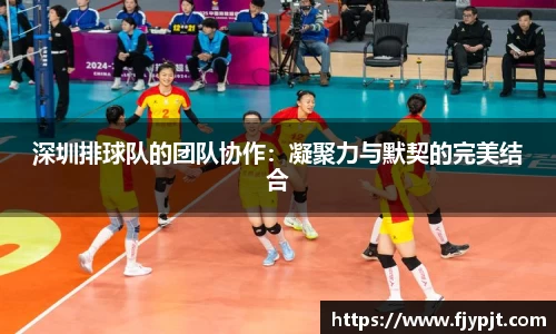 Bsports·必一(中国)体育-官方网站