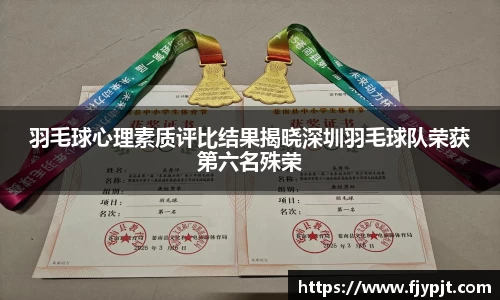 羽毛球心理素质评比结果揭晓深圳羽毛球队荣获第六名殊荣